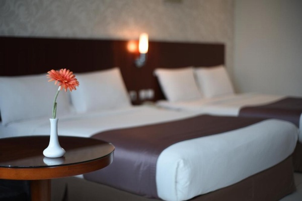 Grand Mayral Hotel image 100